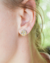 Load image into Gallery viewer, Circles Earrings